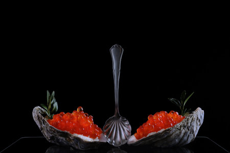 Caviar spoon and red caviar in oyster shells. Serving snacks with red caviar. A symbol of wealth. A useful omega. Black background. Space for copying. Black background.の写真素材