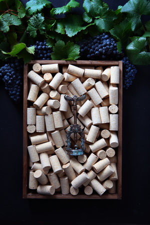 A corkscrew for wine. An antique corkscrew. Wine corks. Natural cork. The concept of winemaking.Flat lay. Top view.の写真素材