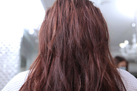 Matted long dark hair of a woman. Hair care in a beauty salon. Long hair before treatment. A woman in a beauty salon. Concept of hair care. Rear view.の写真素材