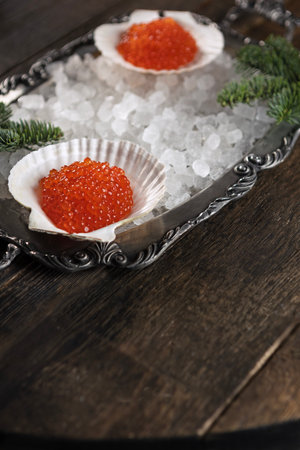 Red caviar on shell. Caviar is on ice. An exquisite snack. New Years appetizer for the festive table. Copy space.の写真素材
