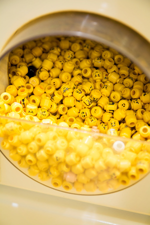 Full container of different yellow LEGO heads