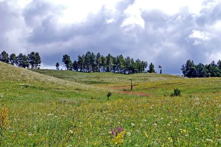 Meadow, trees, a hill on a background of dark cloudsの写真素材