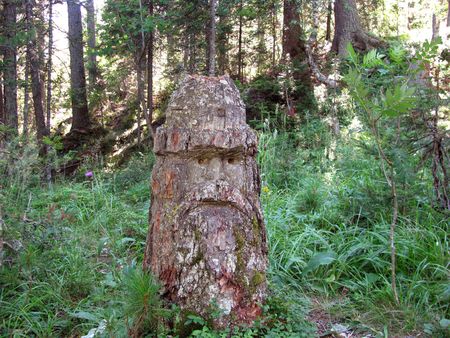 Wooden idol in the woodsの写真素材