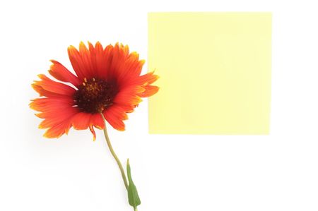 Paper leaf yellow with orange flower isolated on white backgroundの写真素材