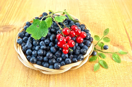 Blueberries with sprigs of red currants in a wicker basket, a sprig of blueberries with green leaves on a wooden boardの写真素材