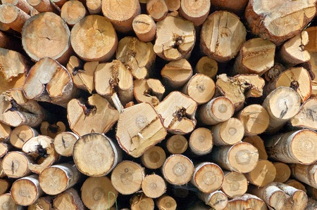 A stack of finished birch, aspen and pine logs