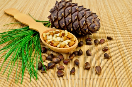 Cedar nuts, cedar bump, cedar nut kernels in a wooden spoon and a green sprig of cedar on a bamboo matの写真素材