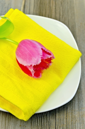 Pink tulip on a yellow napkin and white plate on the background of the old wooden boardsの写真素材