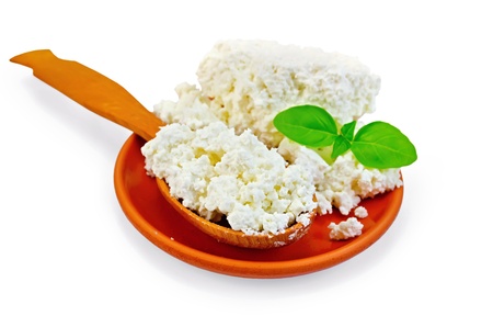 Cottage cheese in a wooden spoon and a clay plate with a sprig of green basil isolated on white backgroundの写真素材