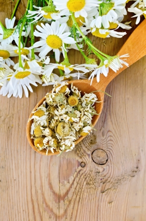 Wooden spoon with dried chamomile flowers, a bouquet of fresh chamomile flowers on a background of wooden boardsの写真素材