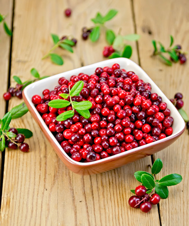 Ripe red lingonberries in a bowl with a sprig of berries and leaves on the  wooden boardsの写真素材