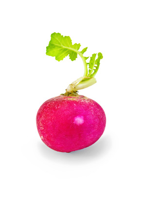 One whole red radishes with green leaves isolated on white の写真素材