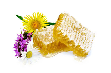 Honeycomb with fragrant honey, wild flowers isolated on white backgroundの写真素材