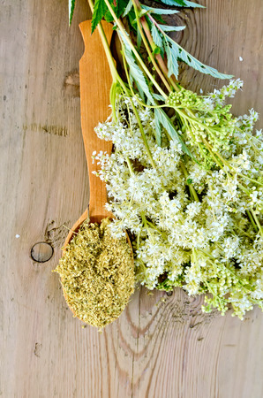 Wooden spoon with dried flowers of meadowsweet, a bouquet of fresh flowers of meadowsweet on a wooden boards backgroundの写真素材
