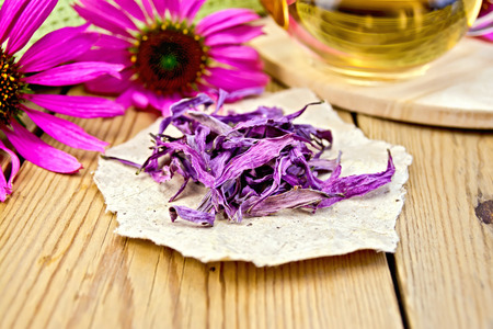 Echinacea dried on paper with flowersの写真素材