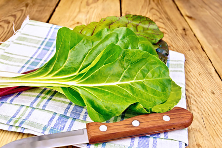 Mangold with knife and napkin on board