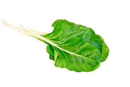 Mangold leavesの写真素材