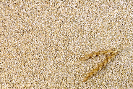 The texture of fine wheat bran with wheat spikeletsの写真素材