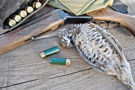 Hunting rifle, bandoleer belt with cartridges, bag and hazel grouse on the background of wooden boardsの写真素材
