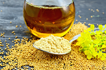 Mustard powder in a spoon, oil in a glass jar, seeds and flower mustard on a wooden board backgroundの写真素材