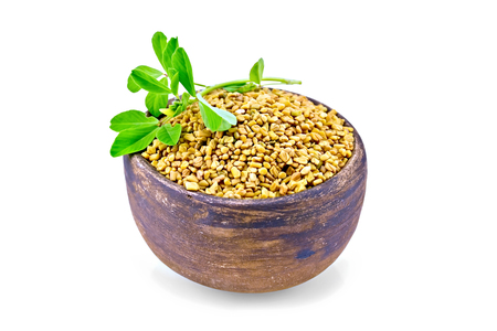 Fenugreek seeds in a clay bowl with green leaves isolated on white backgroundの写真素材