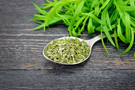 Dried tarragon in a spoon, fresh estragon on a dark wooden board backgroundの写真素材