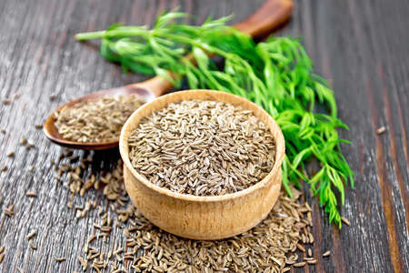 Cumin seeds in a bowl, spoon and on the table, a green sprig of caraway on dark wooden board backgroundの写真素材