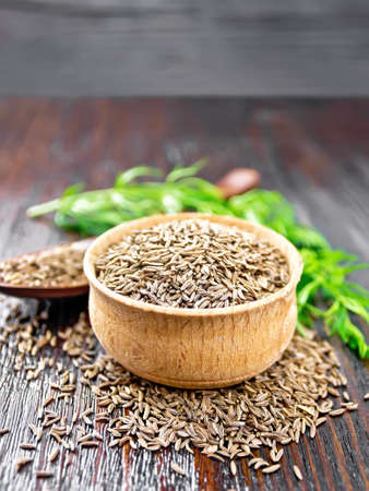Cumin seeds in bowl, spoon and on the table, a green sprig of a plant on dark wooden board...