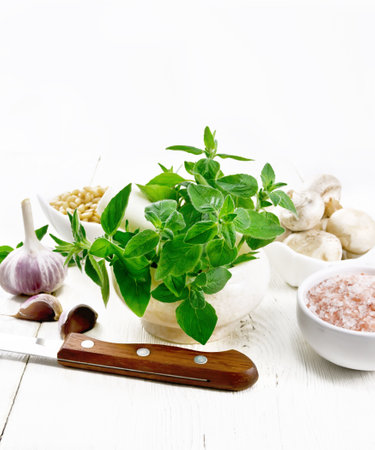 Branches of fresh oregano with leaves in a mortar, champignons, pink Himalayan salt, pine nuts,...