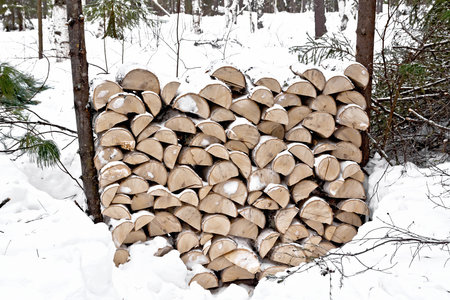 Stack of chopped wood covered with snow in the forestの写真素材