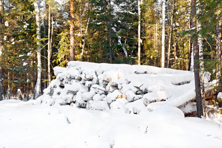 Trestle made of harvested wood covered with snow against the background of treesの写真素材