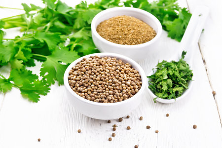 Coriander seeds and ground in two bowls, dried cilantro in a spoon, seasoning greens on a light wooden board backgroundの写真素材