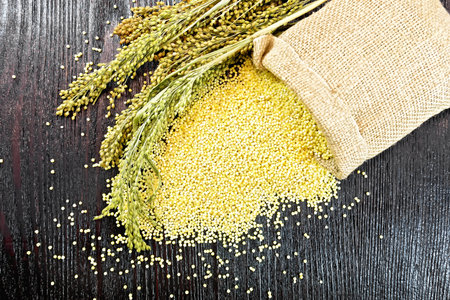 Millet groats on the table and in a bag of burlap, stalks with ears of millet on the background of wooden board from aboveの写真素材