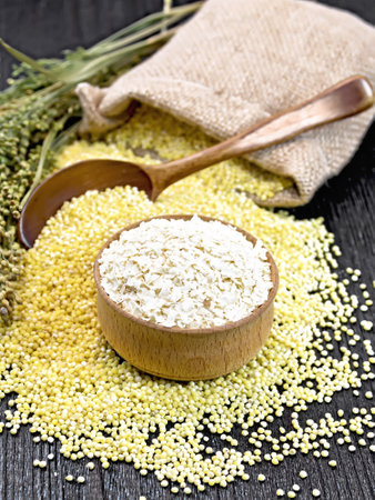Millet flakes in a bowl, groats on the table, in a spoon and a bag of burlap, stalks with ears of millet on the background of black wooden boardの写真素材