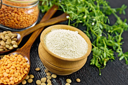 Lentil flour in bowl, red lentils in spoon and glass jar, brown in a spoon, bean stalks with leaves on background of dark wooden boardの写真素材