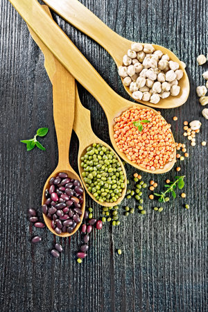 Lentils, mung beans, chickpeas and ruby haricot in spoons and on the table, oregano leaves on a dark wooden board background from aboveの写真素材
