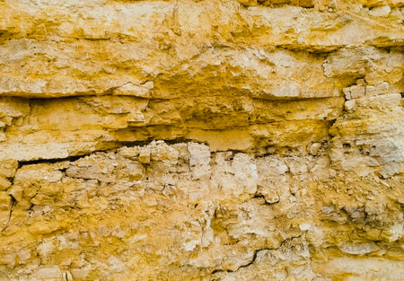 Dolomite layer on a section of soil in a quarry.の写真素材