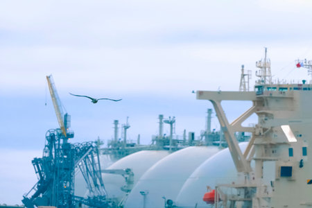 Seagull flying in front of a large liquefied natural gas tanker.