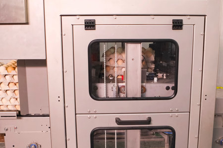 Wrapping machine packs pallets with chicken eggs in food film at egg packaging plant.