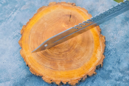 New sharp knife lying on cutting board made from log with bark preserved.