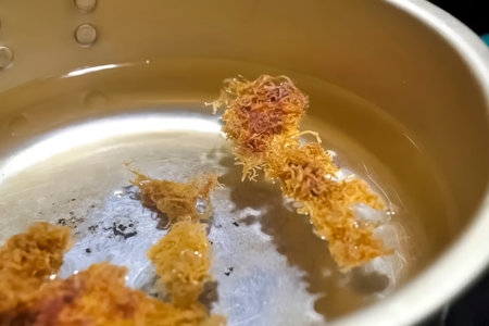 Soak dried spices in water with a plate.の写真素材