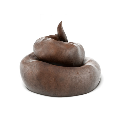 piece of shitの写真素材