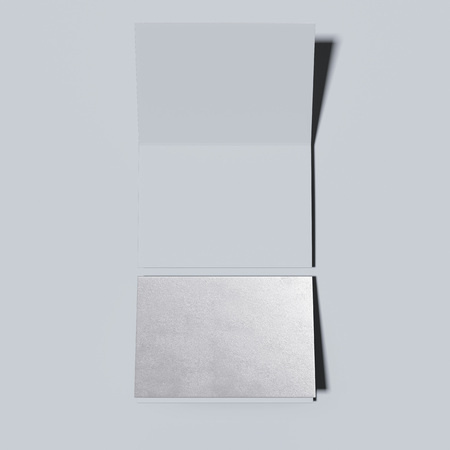 Silver closed and opened leaflets. 3d renderingの写真素材