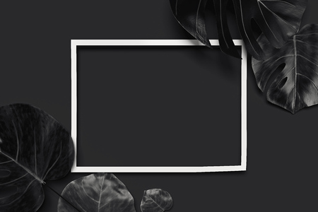 Tropical flowers and frame on black background with empty space. 3D rendering.の写真素材