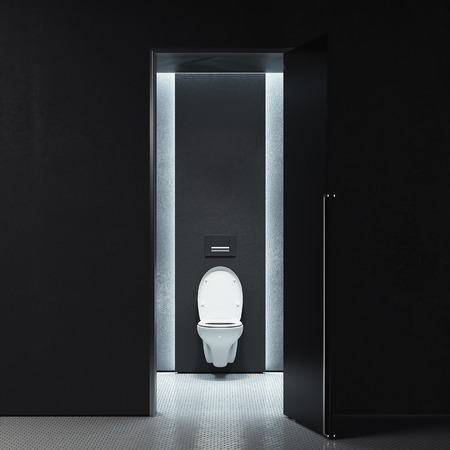 Toilet room interior design with built-in toilet in Modern flat. 3d rendering.の写真素材