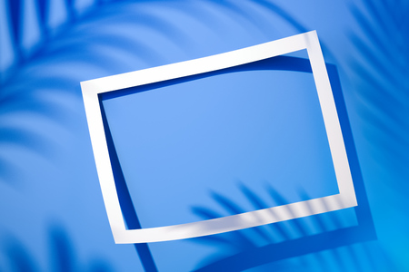 Empty sticker frame with blank empty space and tropical plant . 3D rendering.の写真素材