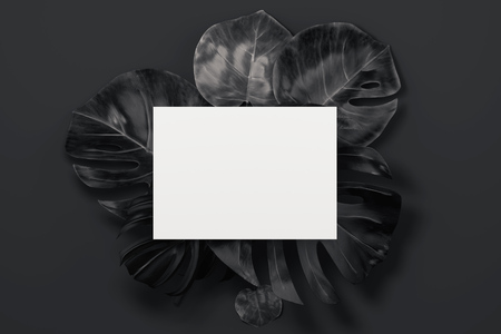 Black tropical flowers and empty paper sheet on black background. 3D rendering.の写真素材