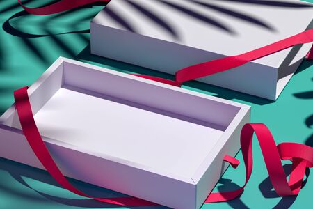 Side View Of White Open Blank Cardboard Box With Red Ribbon Near Palm Leaves. 3d rendering. Copy and...