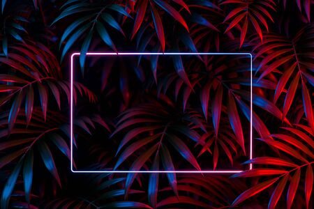 Horizontal Neon Frame on Tropical Leaves Background. 3D rendering. Empty space. Copy spaceの写真素材