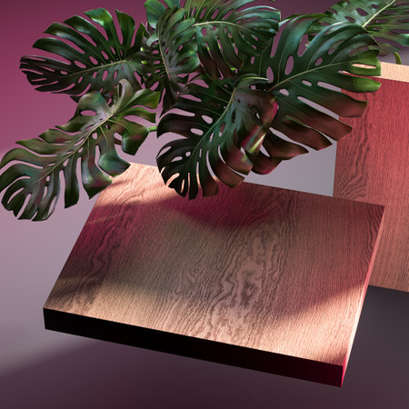 Wooden showcase and monstera plant for branding and product presentation. Luxury wooden pedestal for natural products advertising. Copy space. Empty space. Realistic 3d renderingの写真素材